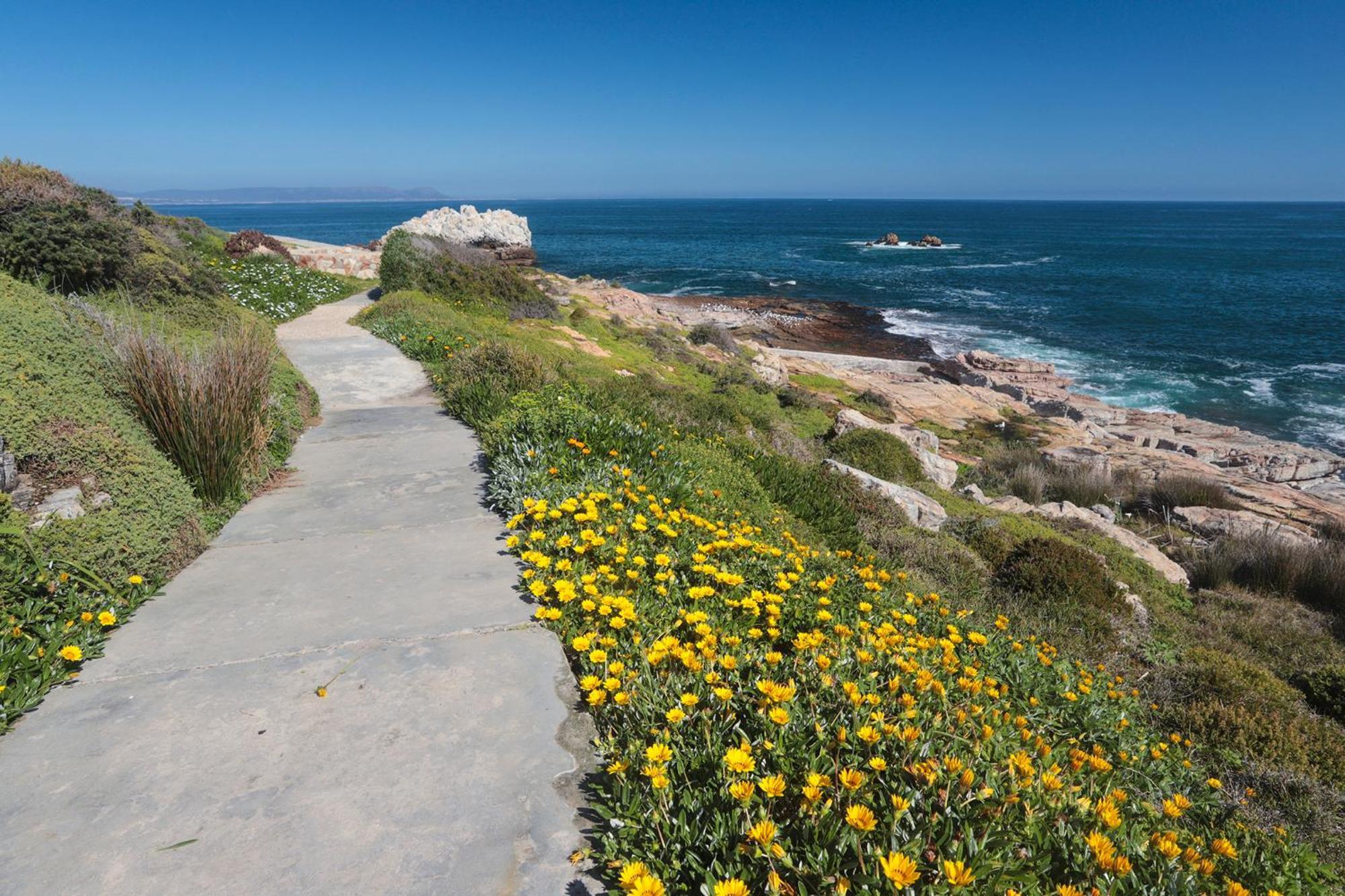 17 Marine, Designer Solar Powered Apt Apartment Hermanus Exterior photo